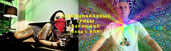 прущие крисы Каменка