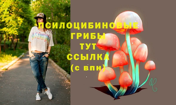 прущие крисы Каменка