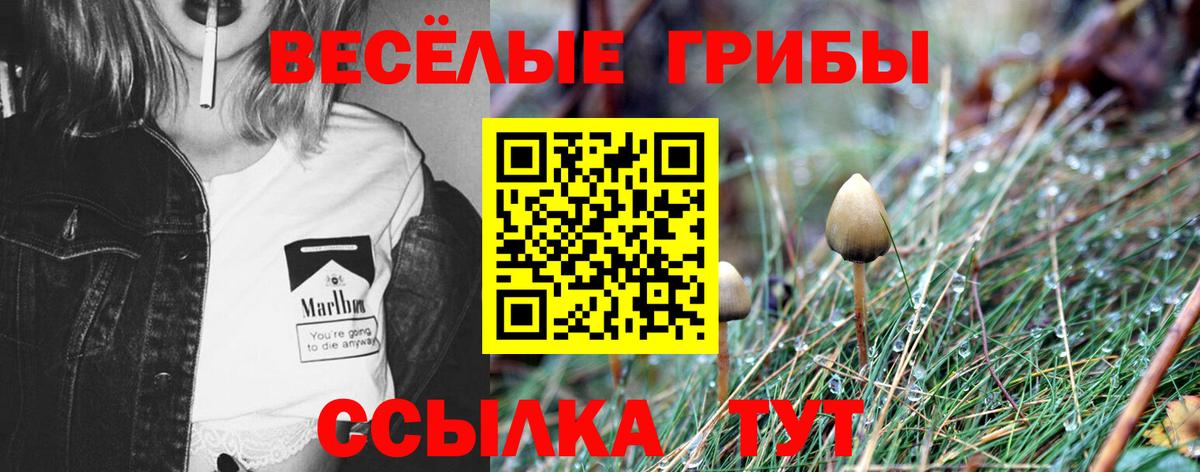 Батайск  Галлюциногенные грибы ЛСД  Вход с VPN 